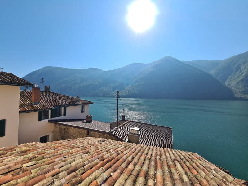 Si affitta a Gandria straordinario appartamento con giardino e vista lago (2)