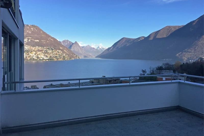 Appartement spacieux 4.5 pièces de 150 m² à Paradiso (3)