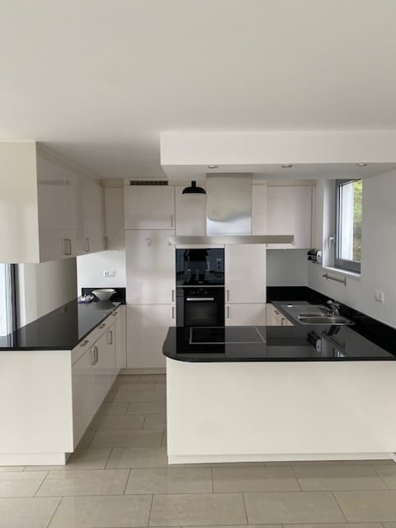 Appartement spacieux 4.5 pièces de 150 m² à Paradiso (6)