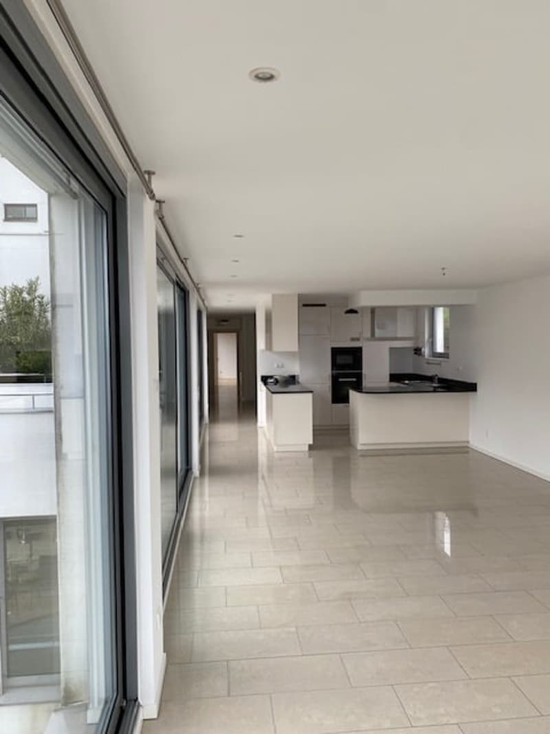 Appartement spacieux 4.5 pièces de 150 m² à Paradiso (5)