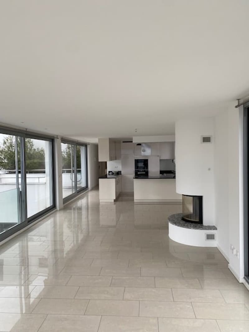 Appartement spacieux 4.5 pièces de 150 m² à Paradiso (4)