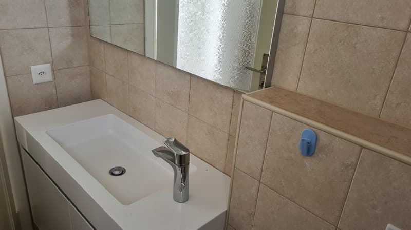 Duplex in einem Haus von 1600... (16)