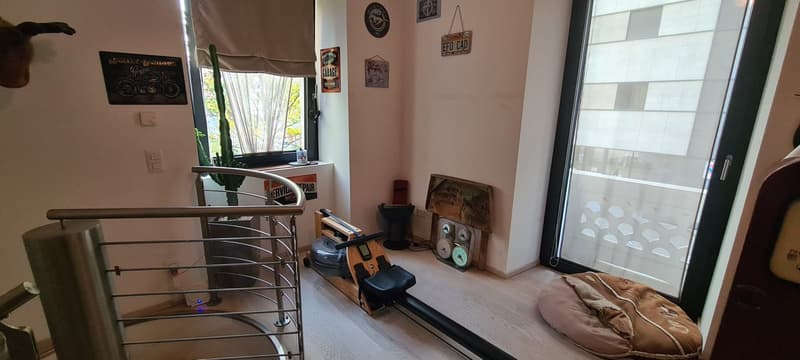 Staircase, exercise bike, cactus, window with a view, sliding glass door