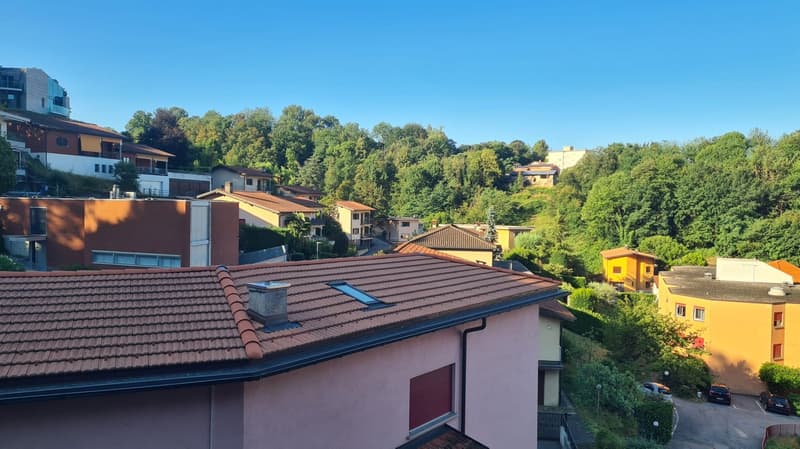 3,5 pièces au dernier étage à louer à Vicolo Bena (20)