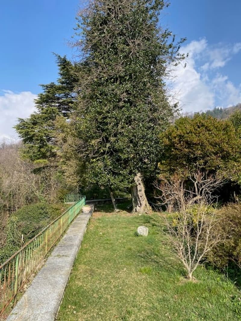Grande casa d’epoca con giardino di mq 1.000 (5)