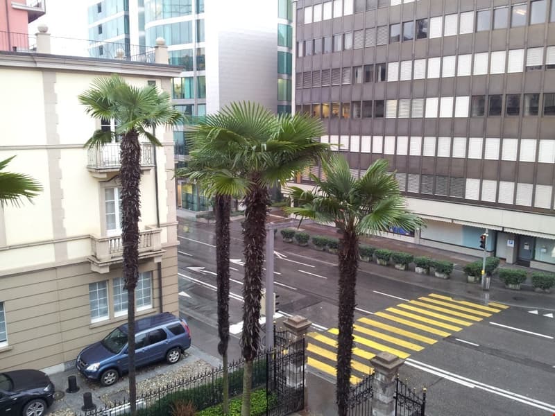 Appartamento nuovo in viale Giuseppe Cattori 10, Lugano (7)