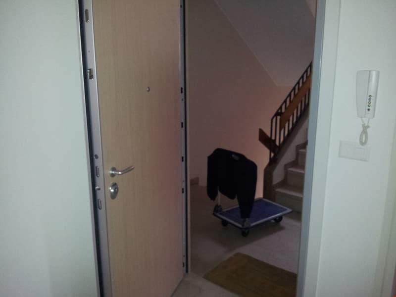 Appartamento nuovo in viale Giuseppe Cattori 10, Lugano (13)