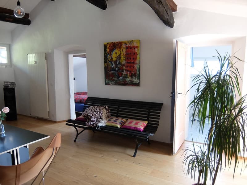 Si affitta a Gandria straordinario appartamento con giardino e vista lago (4)