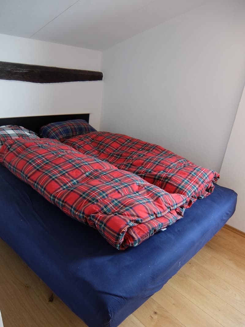 Si affitta a Gandria straordinario appartamento con giardino e vista lago (14)