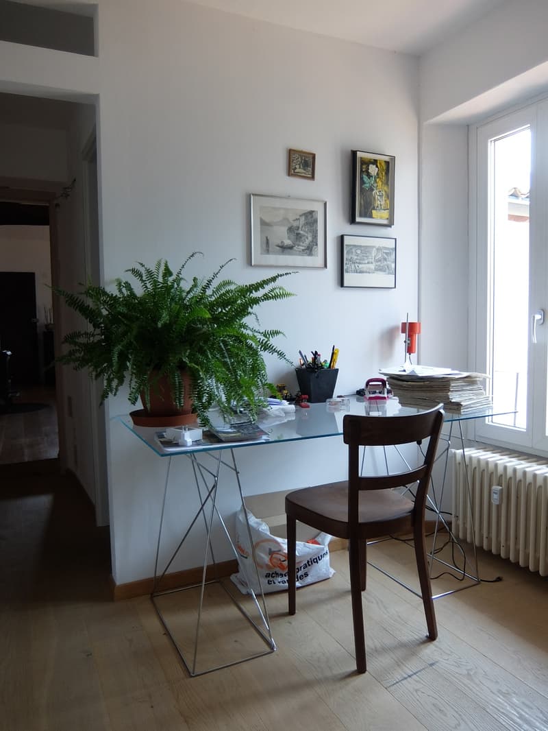 A room with a glass desk, a wooden chair, a potted plant, a radiator, and a window with a view of the outside.