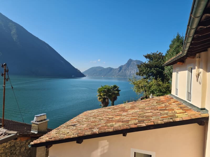 Si affitta a Gandria straordinario appartamento con giardino e vista lago (20)