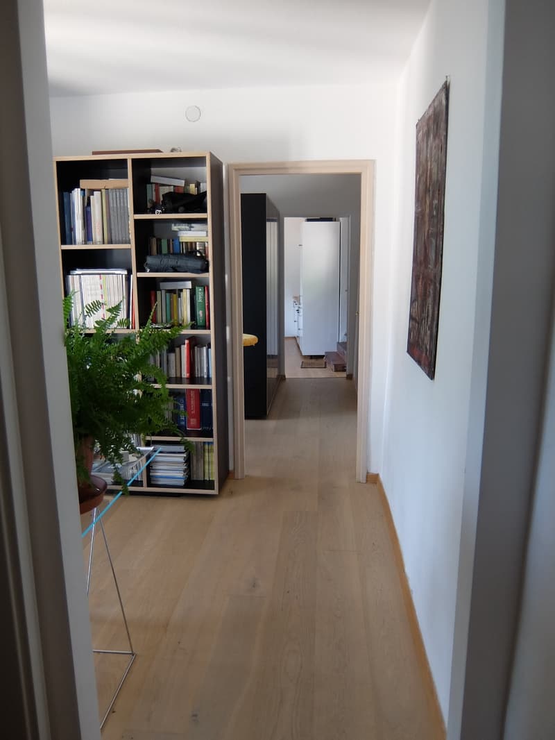 Si affitta a Gandria straordinario appartamento con giardino e vista lago (5)