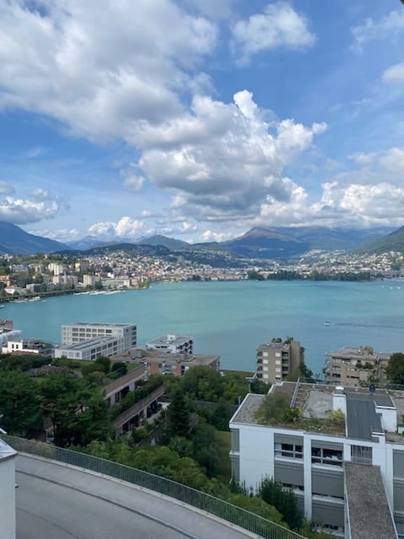 Ampio appartamento 4.5 locali di mq 150 a Paradiso (5)