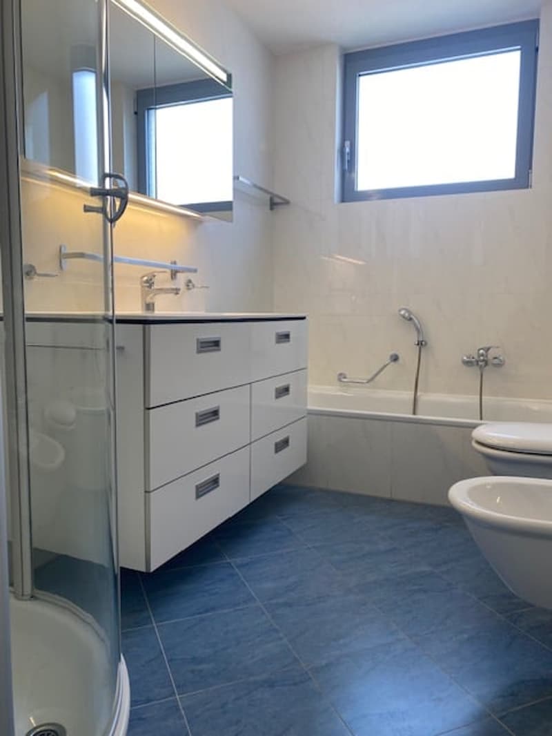 Ampio appartamento 4.5 locali di mq 150 a Paradiso (8)