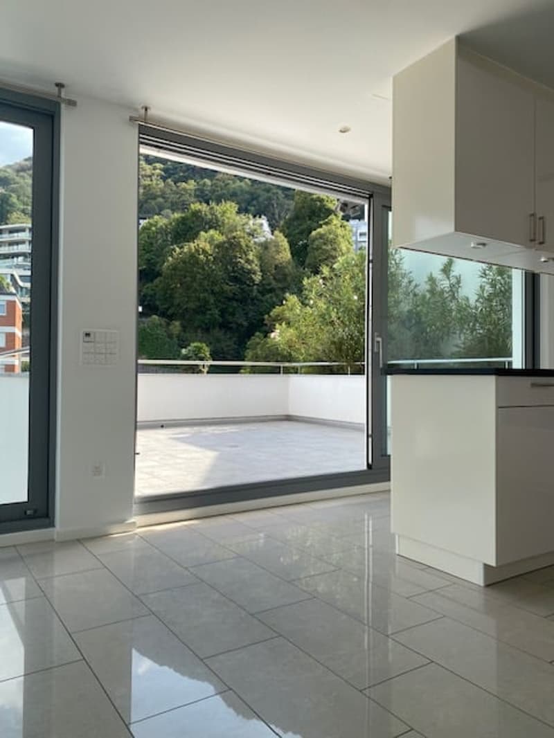 Ampio appartamento 4.5 locali di mq 150 a Paradiso (6)