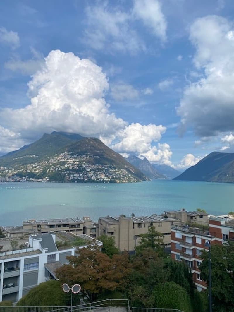 Ampio appartamento 4.5 locali di mq 150 a Paradiso (4)