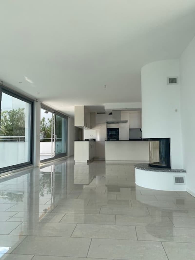 Ampio appartamento 4.5 locali di mq 150 a Paradiso (3)
