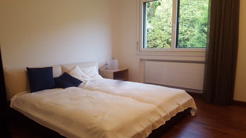 Appartamento arredato di 5,5 locali con giardino privato (15)