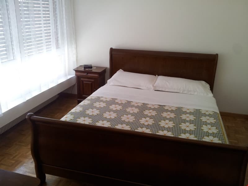 Appartamento di 2 locali a Massagno (3)