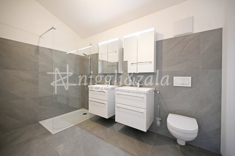 modern bathroom, gray tiles, white cabinets, glass shower, two sinks, toilet