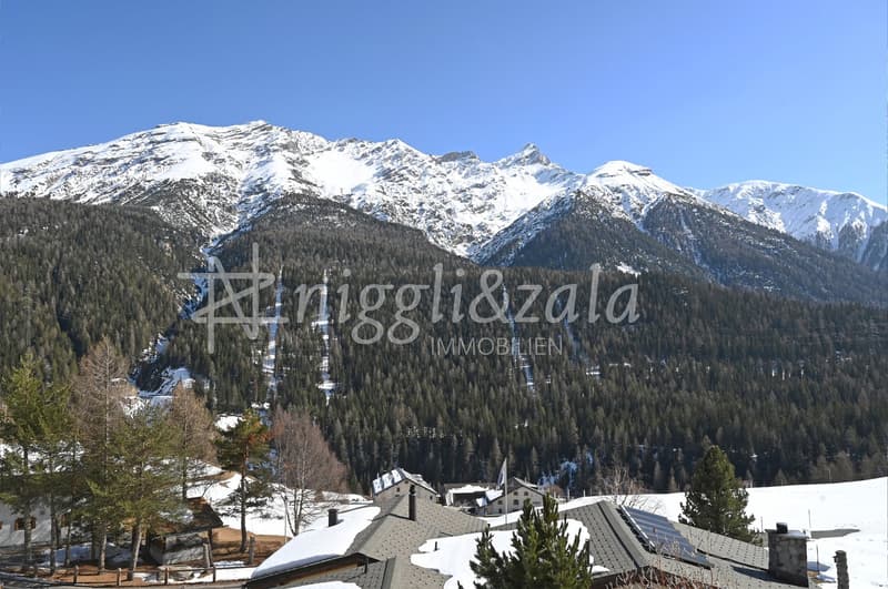 Mountain house, snow-covered mountains, solar panels on the roof, surrounded by trees, snowy landscape