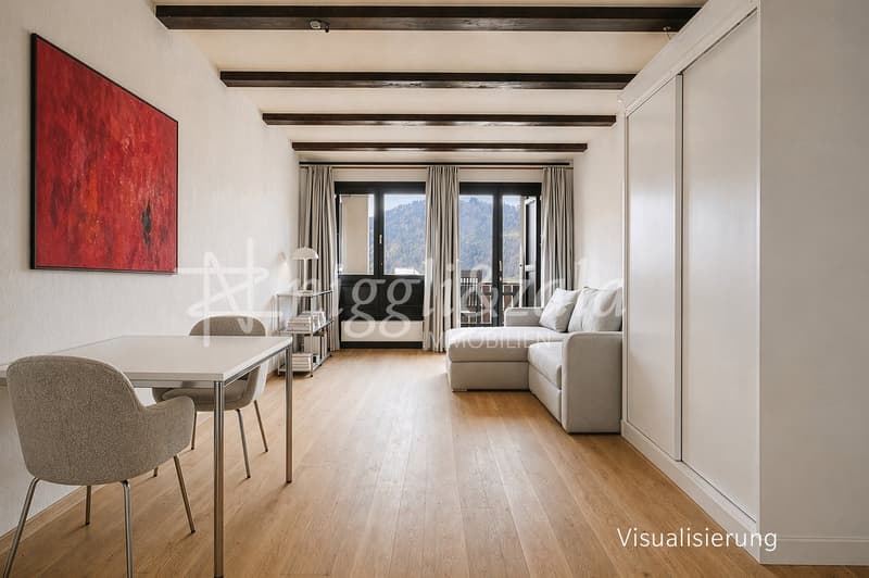Scenic and quietly located 1.5-room apartment (2)