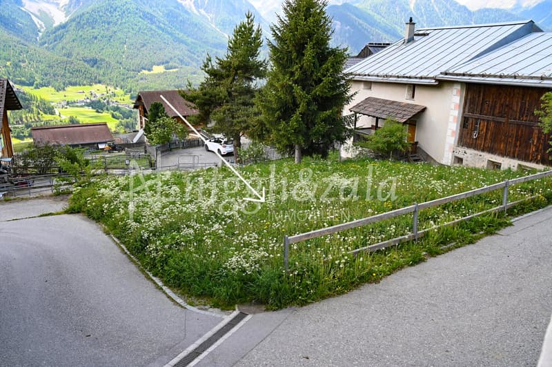 Charming house part with thatched roof and development potential (6)