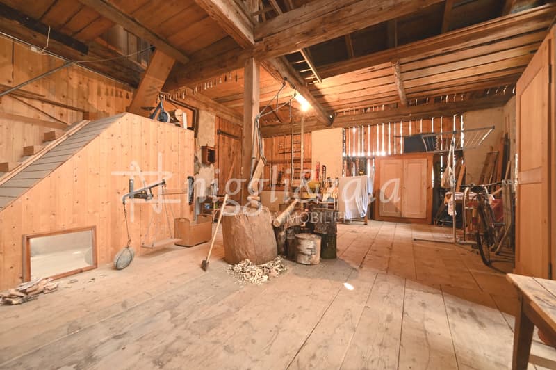 Charming house part with thatched roof and development potential (4)
