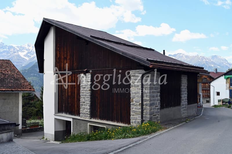 Charming house part with thatched roof and development potential (3)