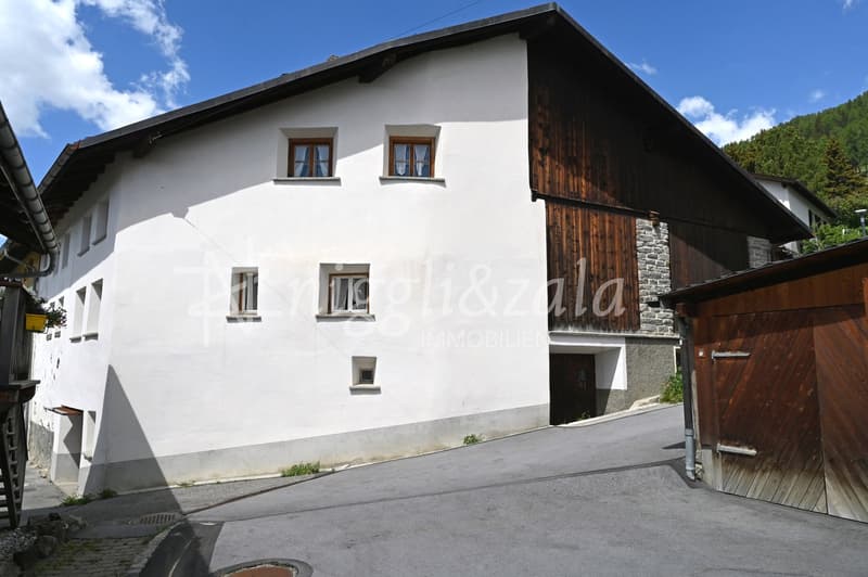 Charming house part with thatched roof and development potential (5)