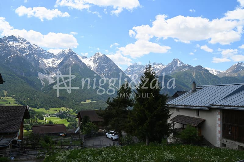 Charming house part with thatched roof and development potential (2)