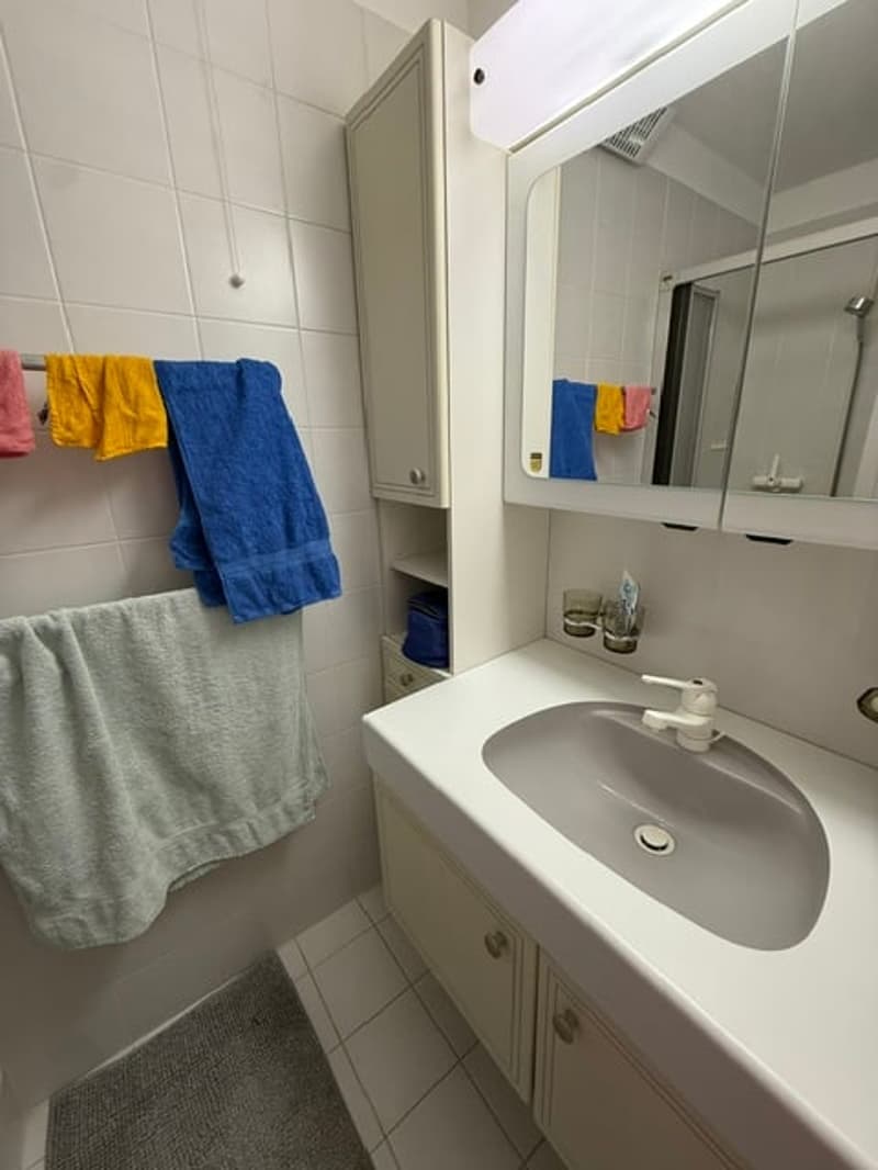 Accogliente appartamento di 2 locali con balcone e vista sulle montagne a Ponte Capriasca (7)