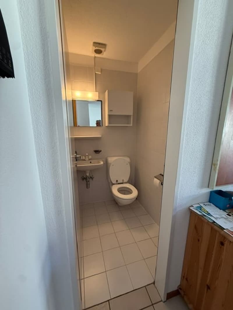 Accogliente appartamento di 2 locali con balcone e vista sulle montagne a Ponte Capriasca (6)