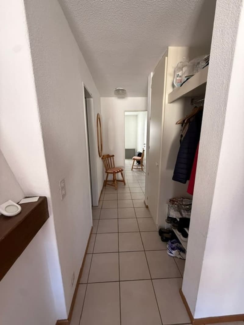 Accogliente appartamento di 2 locali con balcone e vista sulle montagne a Ponte Capriasca (8)