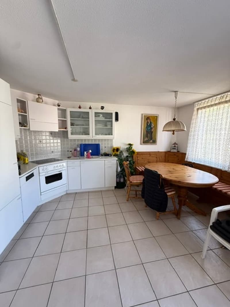 Accogliente appartamento di 2 locali con balcone e vista sulle montagne a Ponte Capriasca (5)