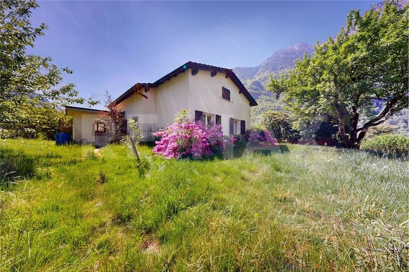 Casa indipendente con giardino in zona residenziale tranquilla e soleggiata (4)