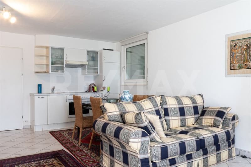 Appartamento duplex di 4.5 locali (3)