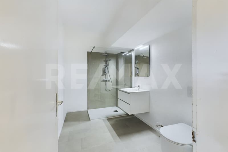 Bright and renovated 2.5-room apartment with terrace (5)