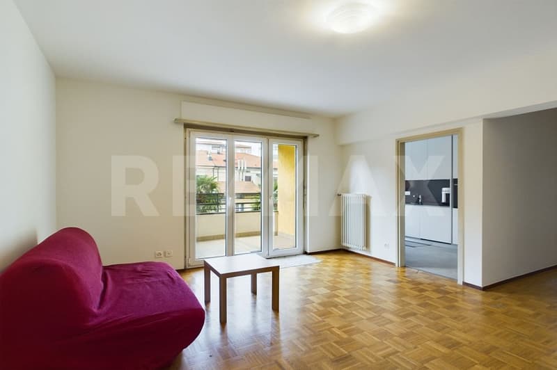 Bright and renovated 2.5-room apartment with terrace (2)