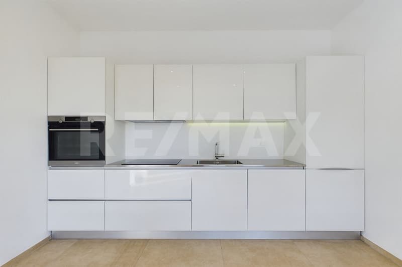 Renovated 3-room apartment with terrace and open view (3)