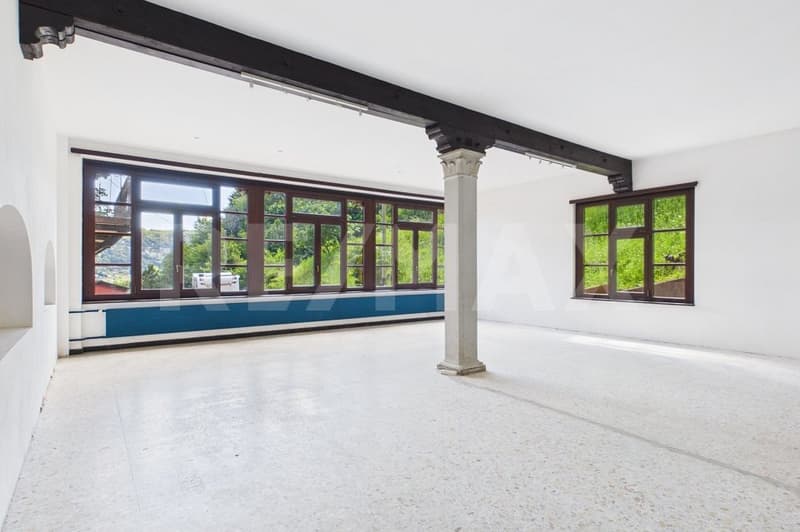 Proprietà plurifamiliare nel verde con potenziale edificatorio (2)