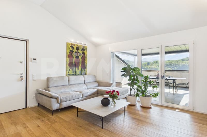 Attic with 3.5 rooms and panoramic view (4)