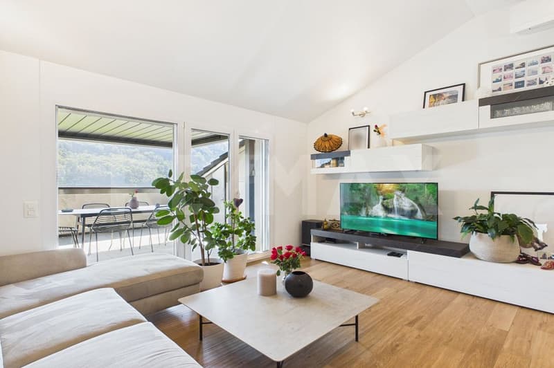 Attic with 3.5 rooms and panoramic view (3)