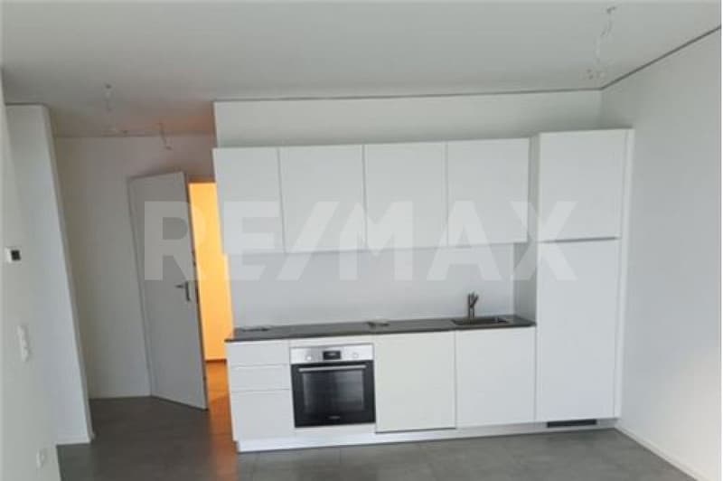 Modern 2.5-room apartment with garden and parking (2)