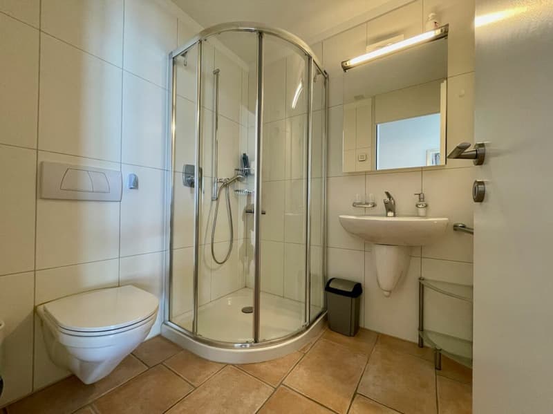 Appartement penthouse avec vue panoramique sur le lac (9)