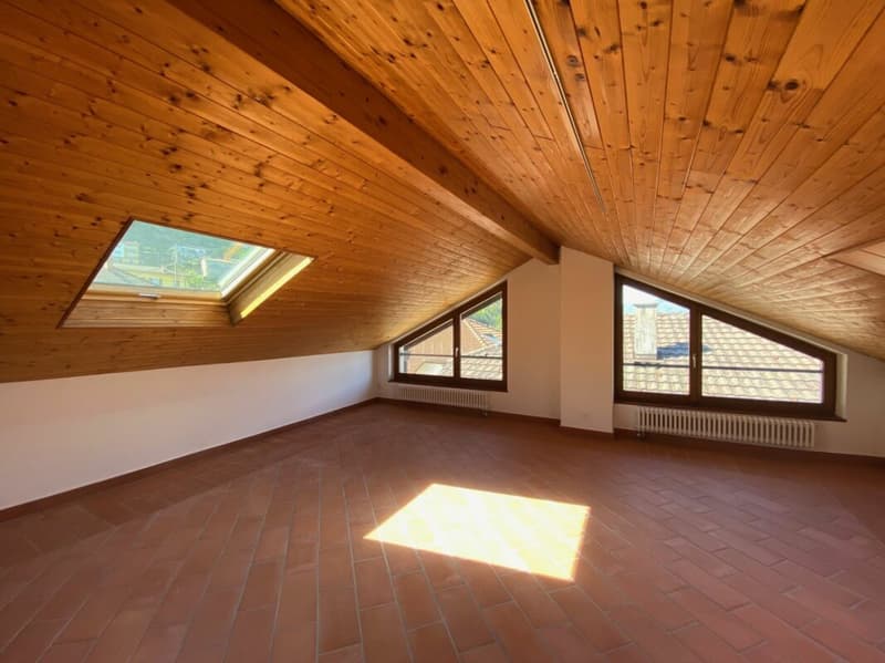 Maison tessine unique au centre du village (5)