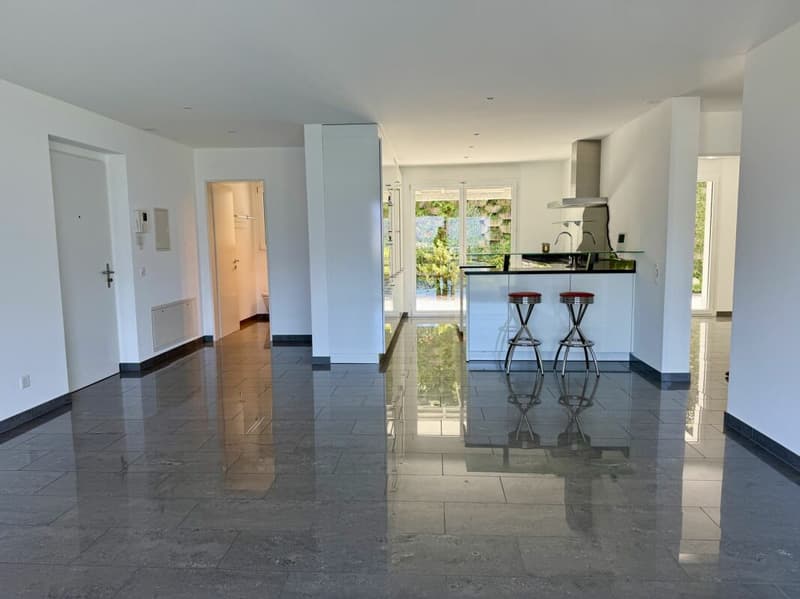 Wohnung mit grossen Terrassen und Pool (8)