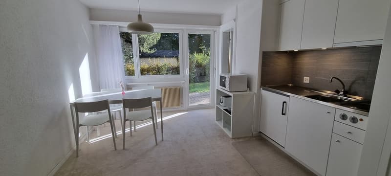 «Flims Dorf - Helle und Zentrale Moblierte 1.5 Zi-Wohnung mit Garten (4)