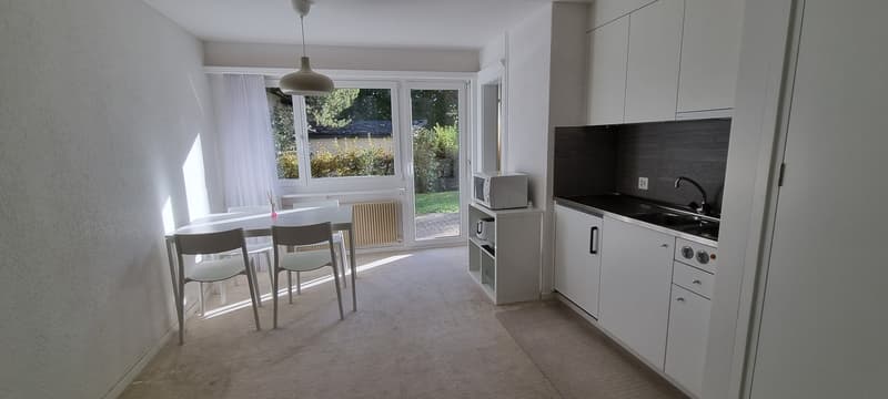 «Flims Dorf - Helle und Zentrale Moblierte 1.5 Zi-Wohnung mit Garten (7)