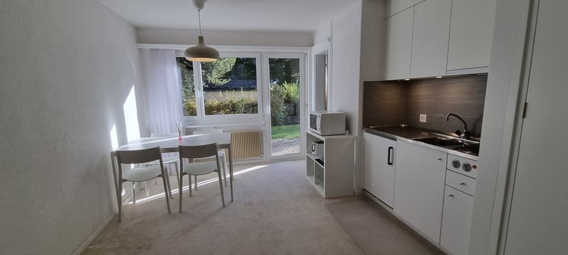 «Flims Dorf - Helle und Zentrale Moblierte 1.5 Zi-Wohnung mit Garten (6)